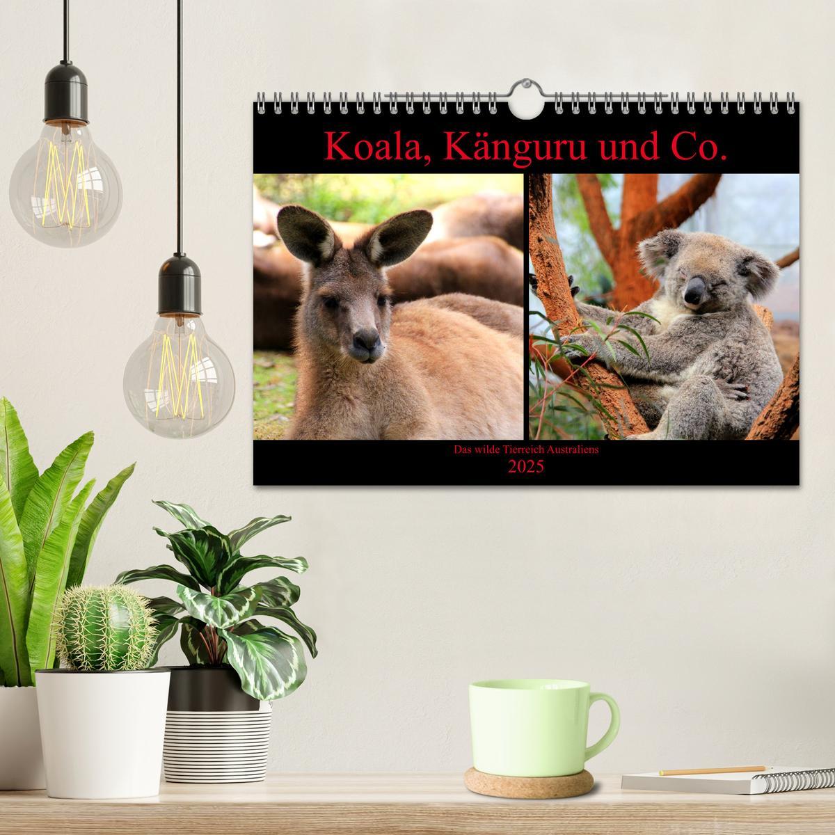 Bild: 9783435444441 | Koala, Känguru und Co. ¿ Das wilde Tierreich Australiens...