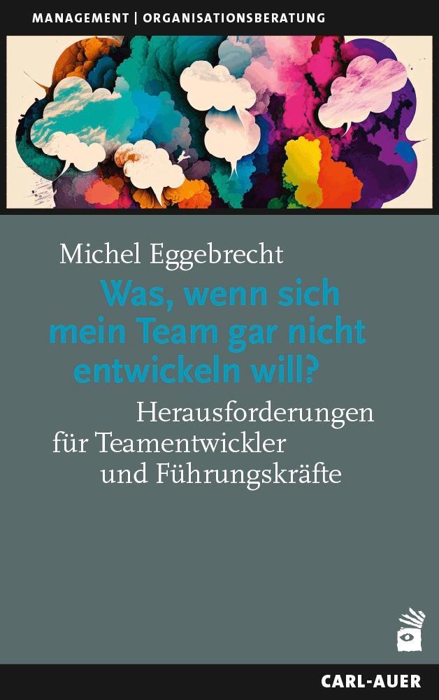 Cover: 9783849705435 | Was, wenn sich mein Team gar nicht entwickeln will? | Eggebrecht