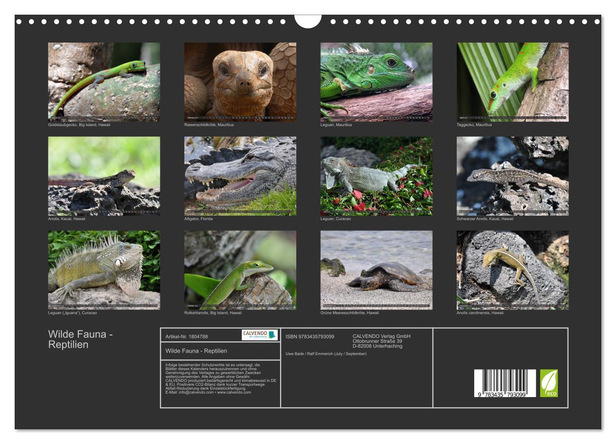 Bild: 9783435793099 | Wilde Fauna - Reptilien (Wandkalender 2025 DIN A3 quer), CALVENDO...