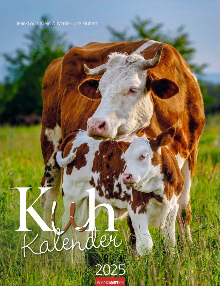 Cover: 9783839900734 | Kuh Kalender 2025 | Marie-Luce Hubert (u. a.) | Kalender | 14 S.