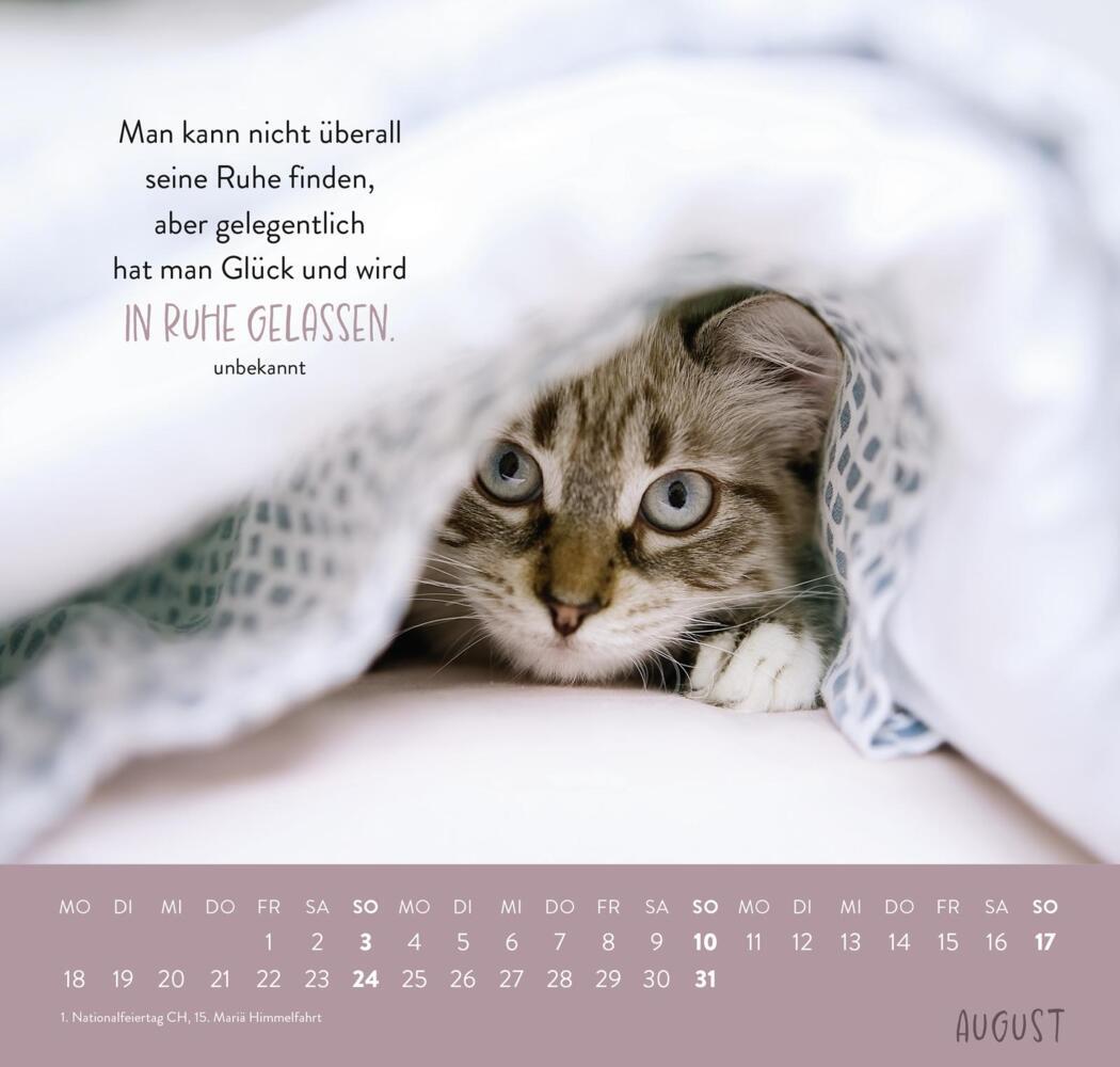 Bild: 4036442011881 | Wandkalender 2025: Für Katzenfreunde | Groh Verlag | Kalender | 12 S.