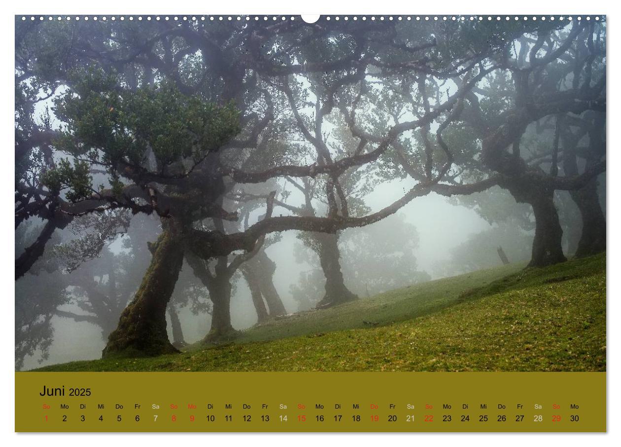 Bild: 9783435671274 | Zauberhaftes Madeira (Wandkalender 2025 DIN A2 quer), CALVENDO...