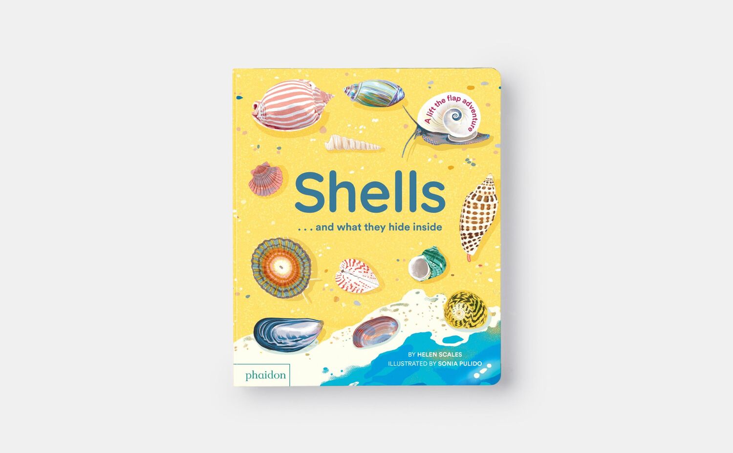 Bild: 9781838667887 | Shells... and what they hide inside | A Lift-the-Flap Adventure | Buch