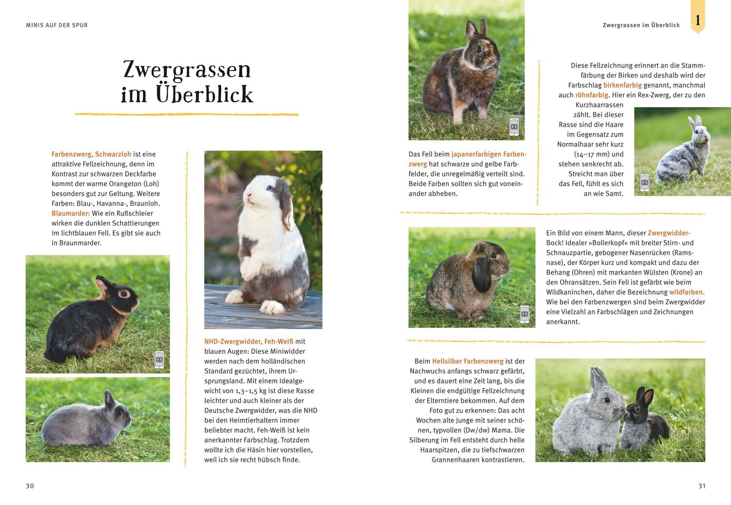 Bild: 9783833842177 | Liebenswerte Zwergkaninchen | Monika Wegler | Taschenbuch | 144 S.