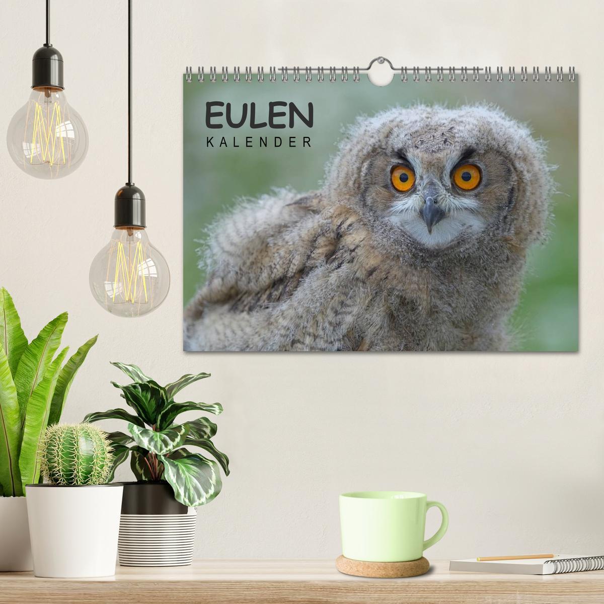 Bild: 9783435695263 | Eulen-Kalender (Wandkalender 2025 DIN A4 quer), CALVENDO...