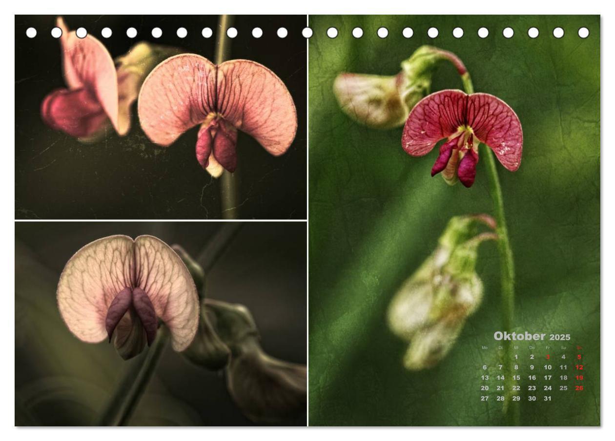 Bild: 9783435611355 | Blumenreise 2025 (Tischkalender 2025 DIN A5 quer), CALVENDO...