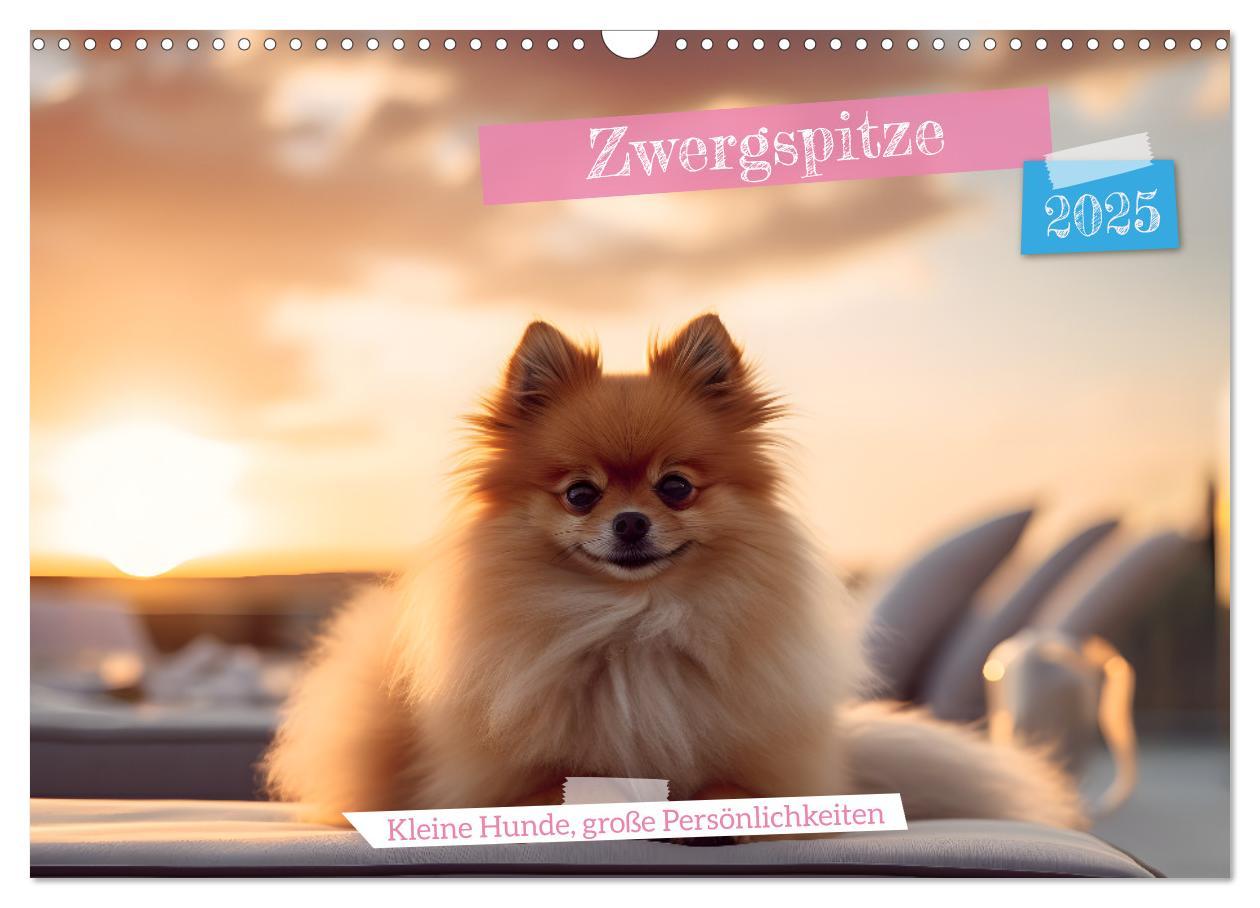 Cover: 9783383857515 | Zwergspitze - kleine Hunde, große Persönlichkeiten (Wandkalender...