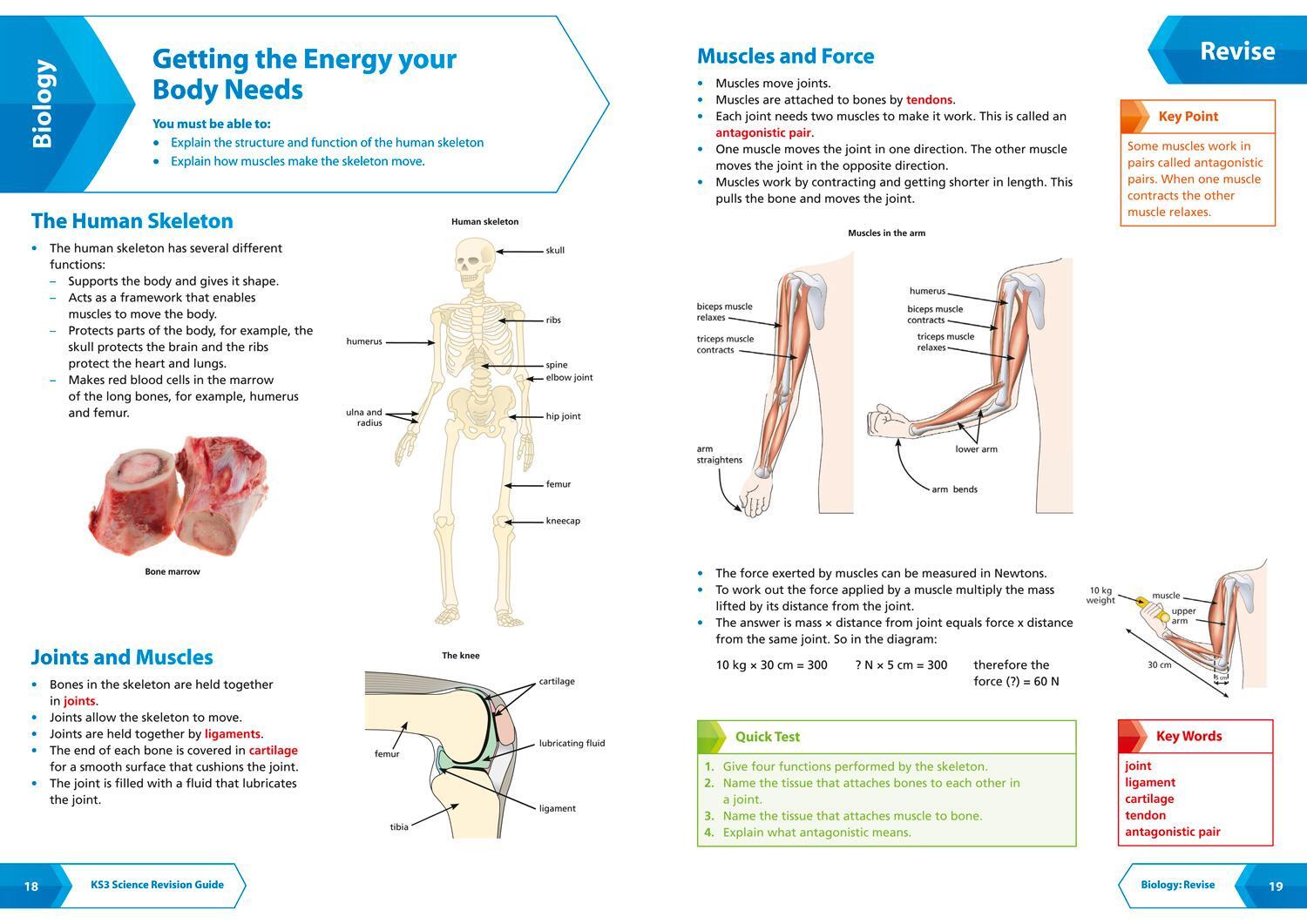 Bild: 9780007562824 | Collins New Key Stage 3 Revision -- Science: Revision Guide | Uk