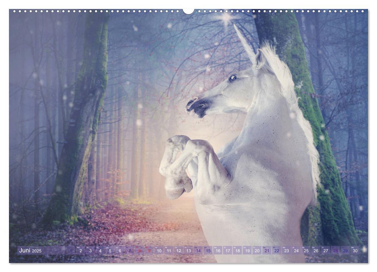 Bild: 9783435303755 | Einhorn Love - Fantasiewelt (hochwertiger Premium Wandkalender 2025...