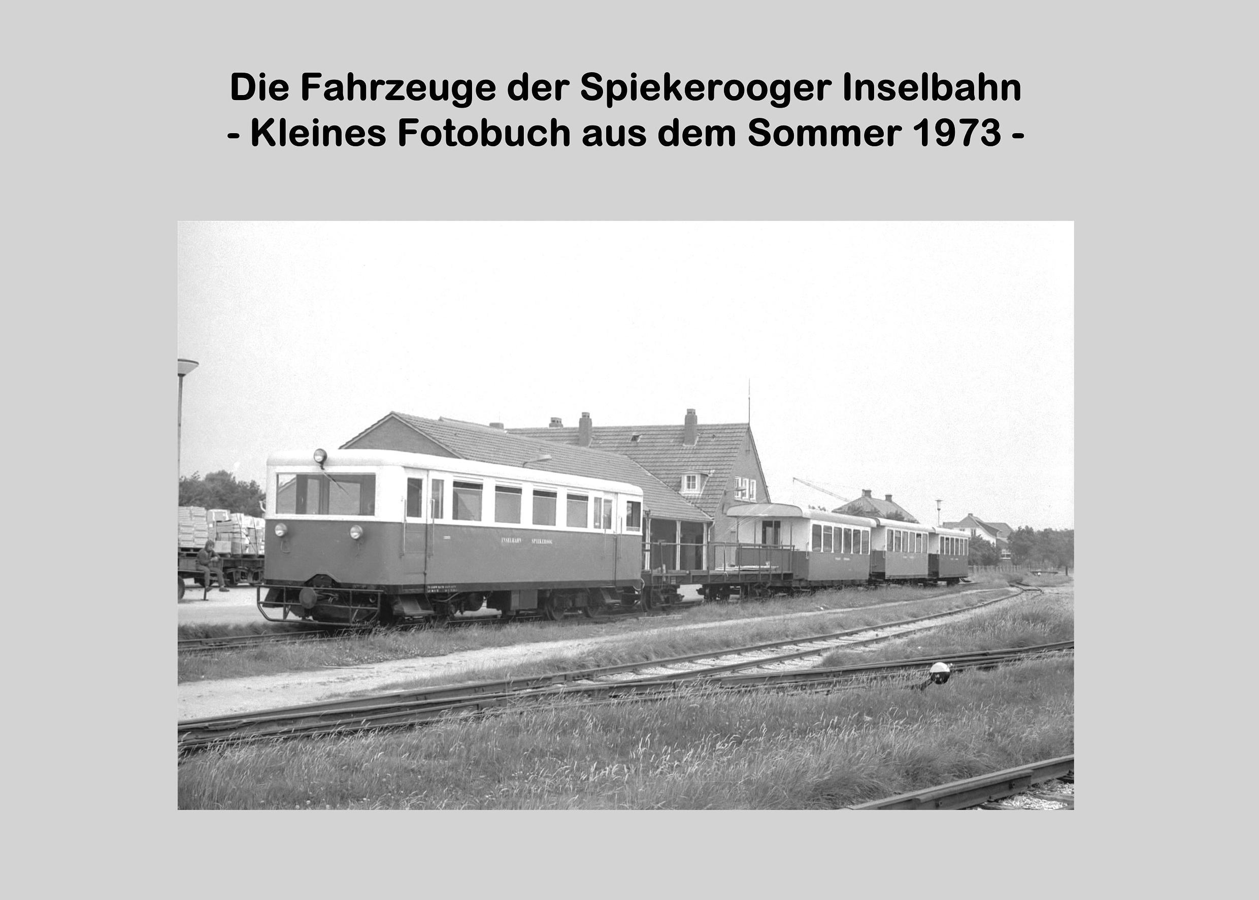 Cover: 9783734772023 | Die Fahrzeuge der Spiekerooger Inselbahn | Lutz Riedel | Taschenbuch