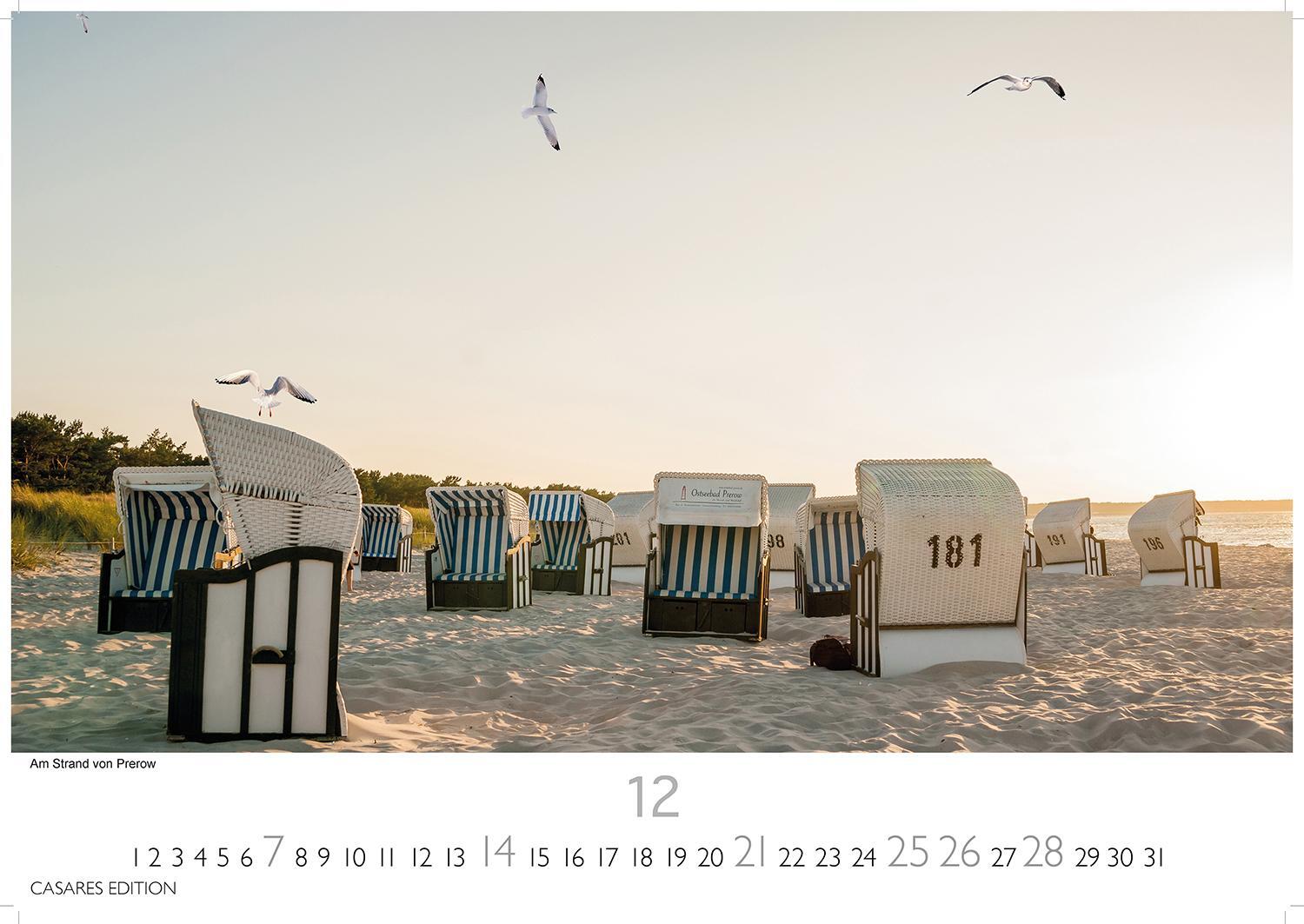 Bild: 9781835242889 | Ostseeküste 2025 L 35x50cm | Kalender | 14 S. | Deutsch | 2025