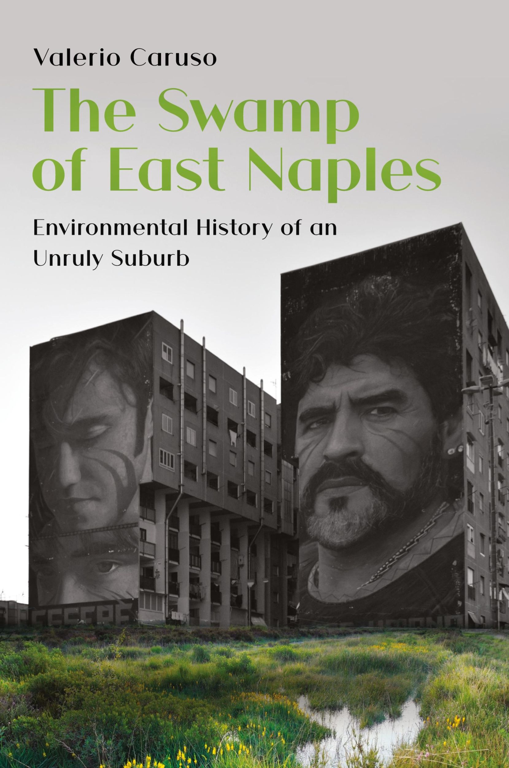 Cover: 9781912186891 | The Swamp of East Naples | Valerio Caruso | Taschenbuch | Englisch