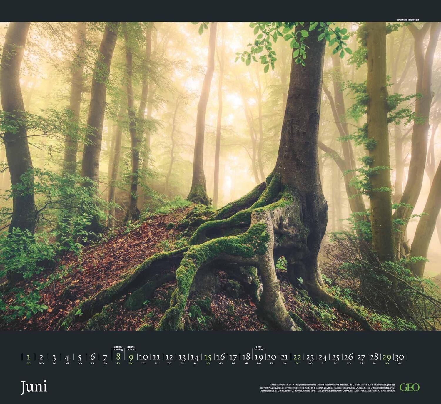 Bild: 4002725988683 | GEO Kalender: Sehnsucht Wald 2025 - Wand-Kalender - Natur-Kalender...