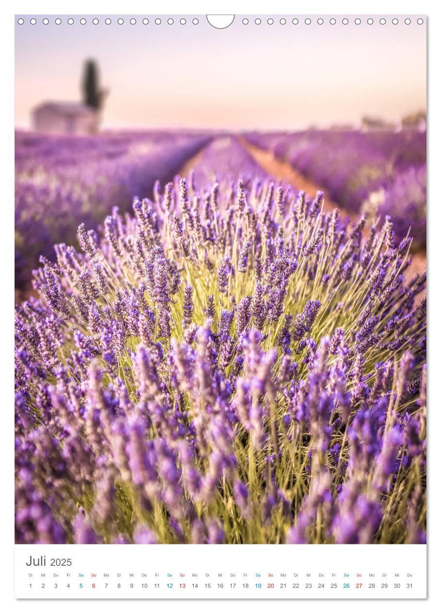 Bild: 9783435987061 | Provence im Licht (Wandkalender 2025 DIN A3 hoch), CALVENDO...