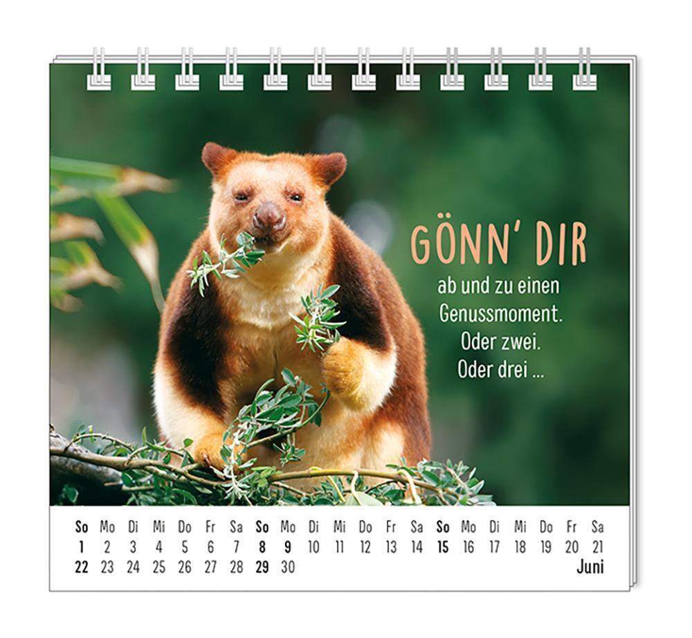 Bild: 9783986361099 | Mini-Kalender 2025 Happymacher | Mini-Kalender | Original | Kalender