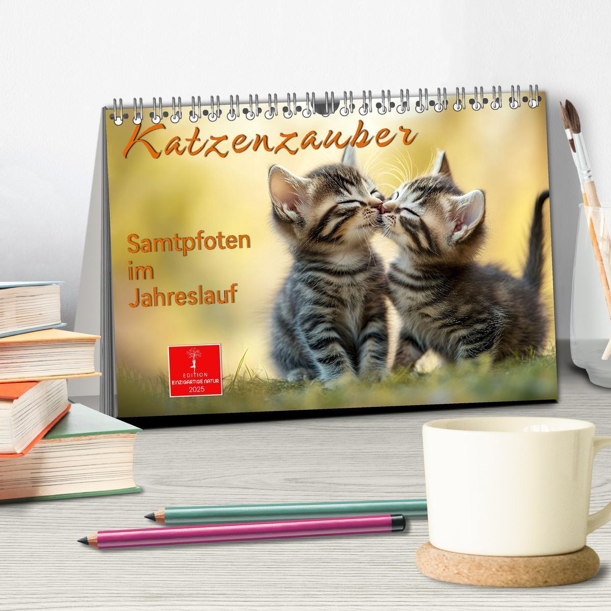 Bild: 9783457218334 | Katzenzauber - Samtpfoten im Jahreslauf (Tischkalender 2025 DIN A5...