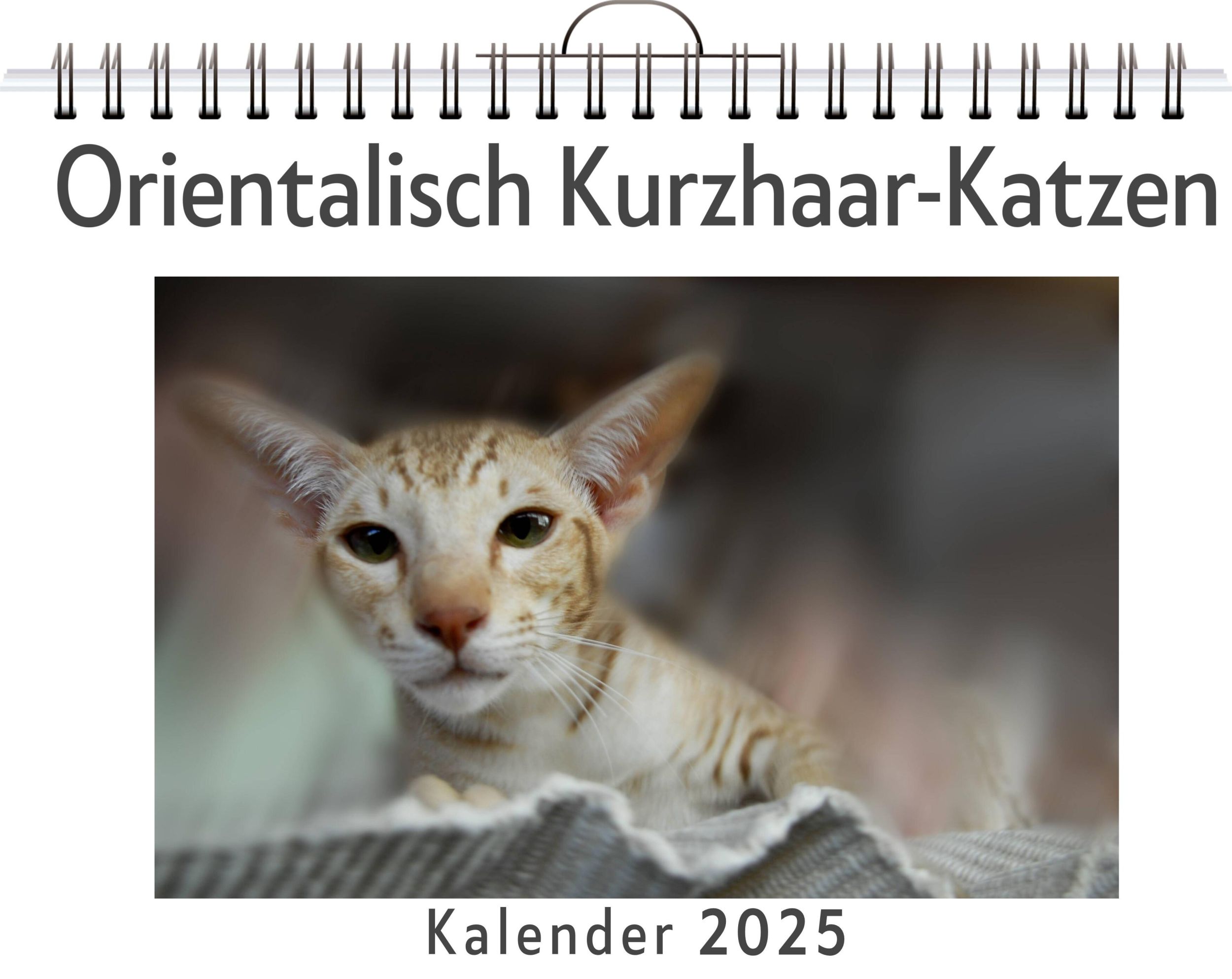 Cover: 9783759132475 | Orientalisch Kurzhaar-Katzen | Samuel Möller | Kalender | Kalender