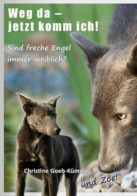 Cover: 9783981478426 | Weg da - jetzt komm ich! | Sind freche Engel immer weiblich? | Buch