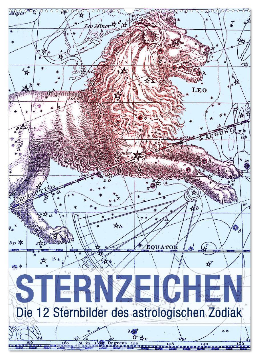 Cover: 9783435911738 | Sternzeichenkalender (Wandkalender 2025 DIN A2 hoch), CALVENDO...