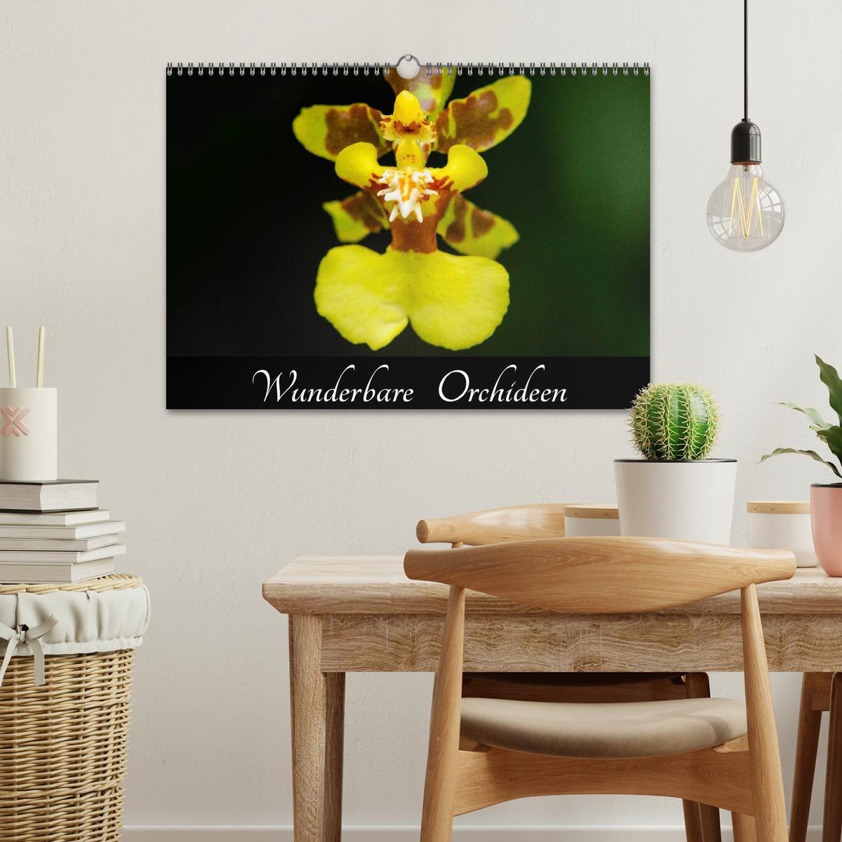 Bild: 9783435598915 | Wunderbare Orchideen (Wandkalender 2025 DIN A3 quer), CALVENDO...