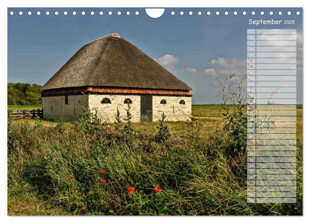 Bild: 9783435359097 | Ein Sommer auf Texel (Wandkalender 2025 DIN A4 quer), CALVENDO...