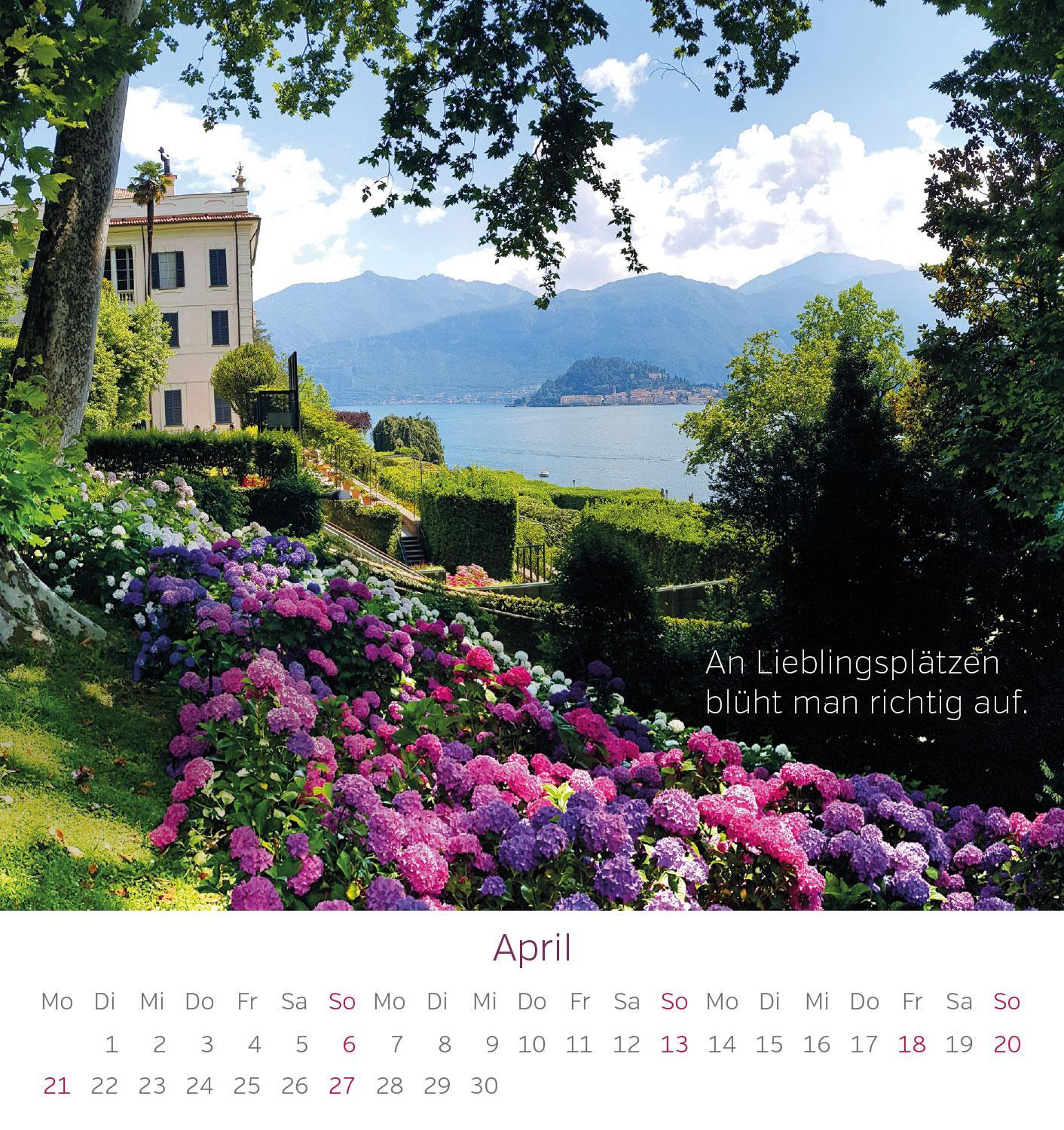 Bild: 9783957482433 | Glücksmomente 2025 | Tanja Sassor | Kalender | 13 S. | Deutsch | 2025