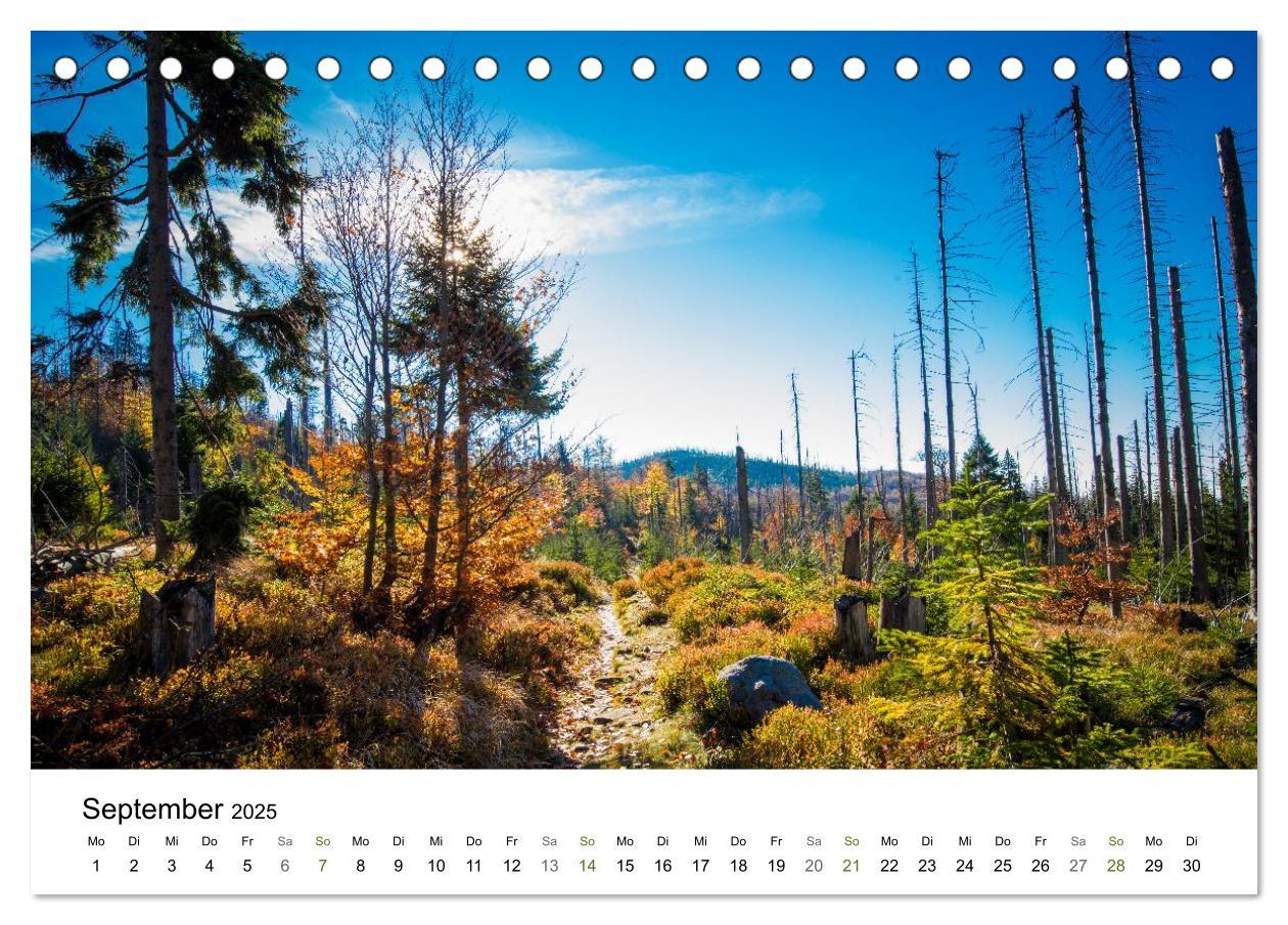 Bild: 9783435570485 | Traumlandschaften im Bayrischen Wald (Tischkalender 2025 DIN A5...