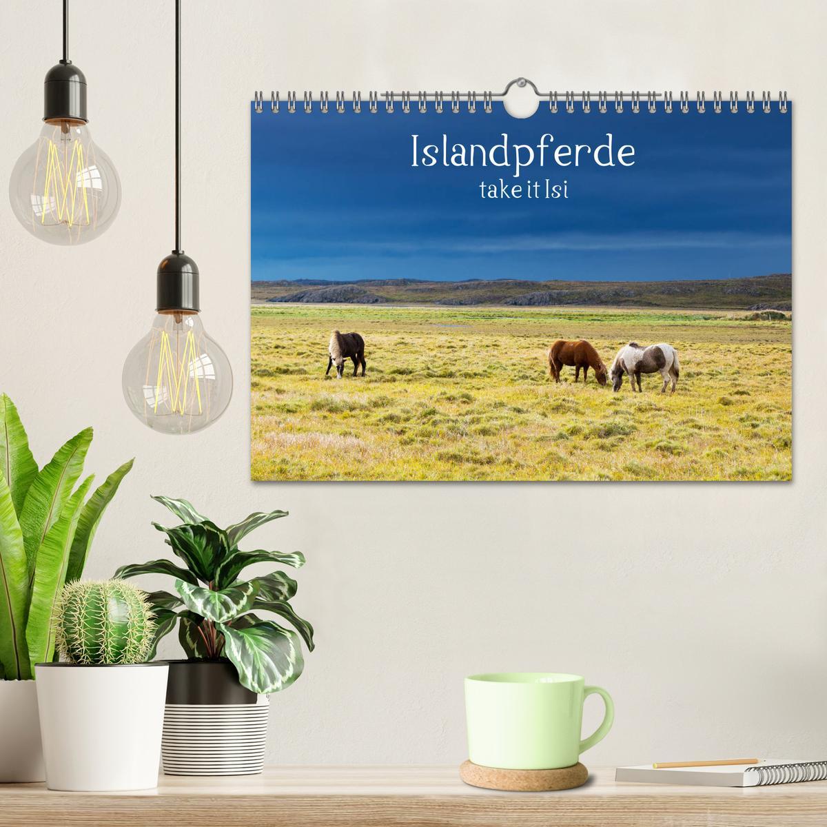 Bild: 9783435272846 | Islandpferde take it Isi (Wandkalender 2025 DIN A4 quer), CALVENDO...