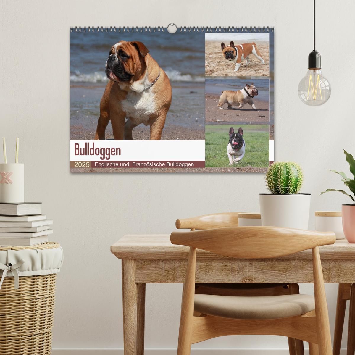 Bild: 9783435385805 | Bulldoggen - Englische und Französische Bulldoggen (Wandkalender...