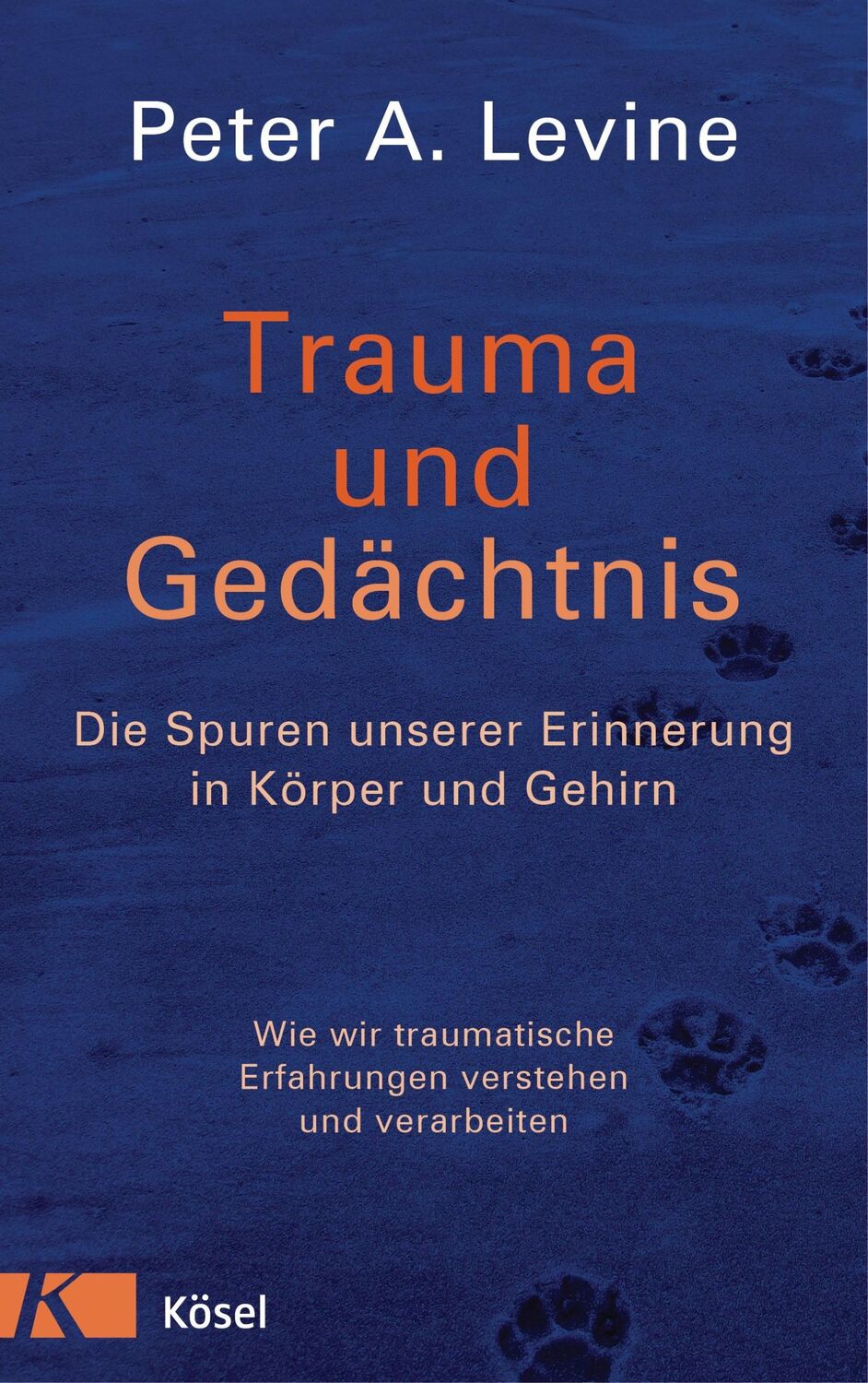 Cover: 9783466346196 | Trauma und Gedächtnis | Peter A. Levine | Buch | 240 S. | Deutsch