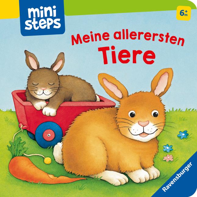 Cover: 9783473315789 | ministeps: Meine allerersten Tiere | Ab 6 Monaten | Neubacher-Fesser