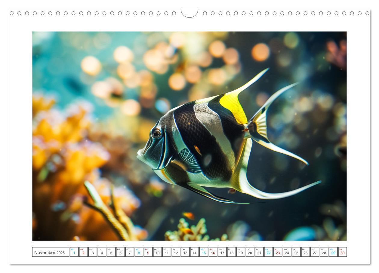 Bild: 9783383784378 | Exotische Fische (Wandkalender 2025 DIN A3 quer), CALVENDO...