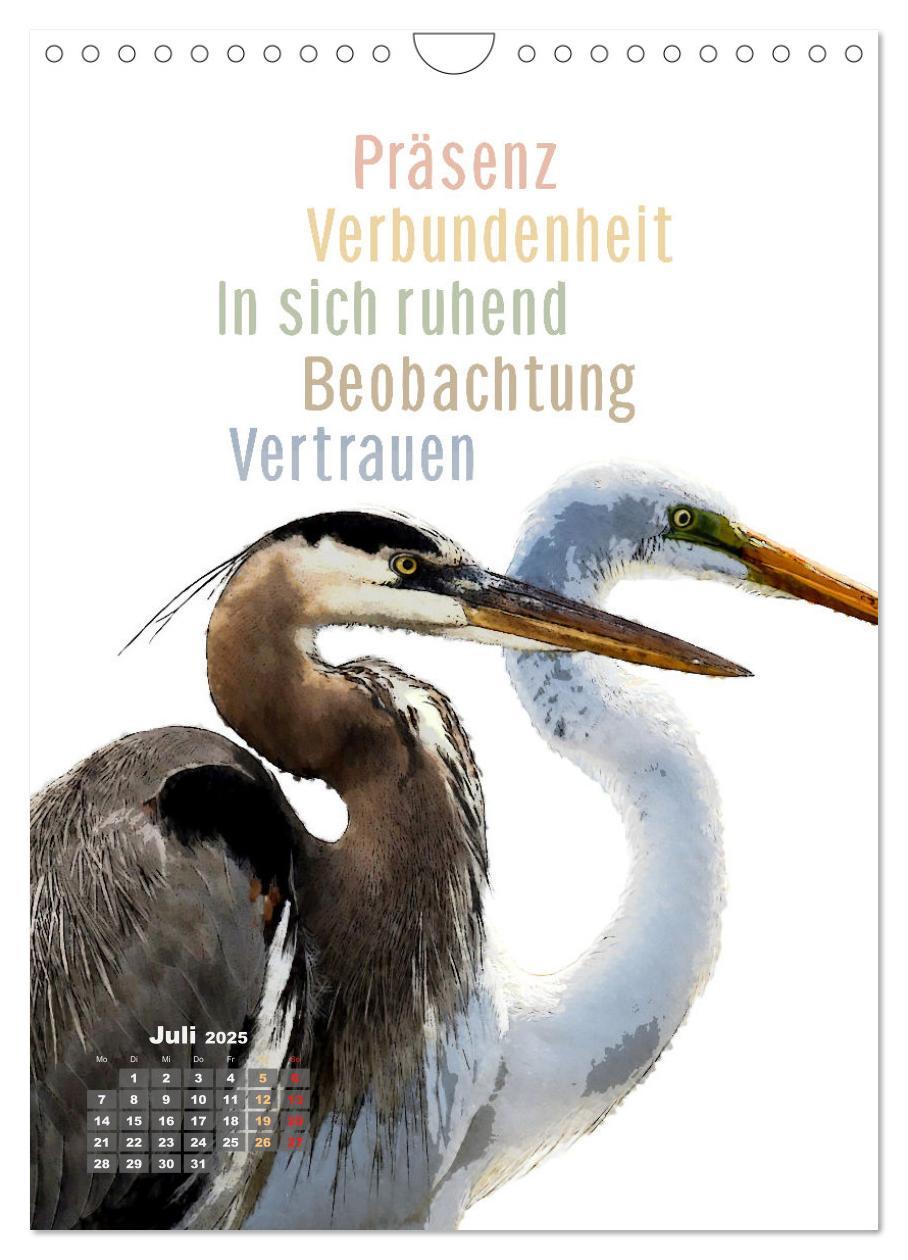 Bild: 9783457137437 | Welche spirituelle Bedeutung hat dieser Vogel? (Wandkalender 2025...