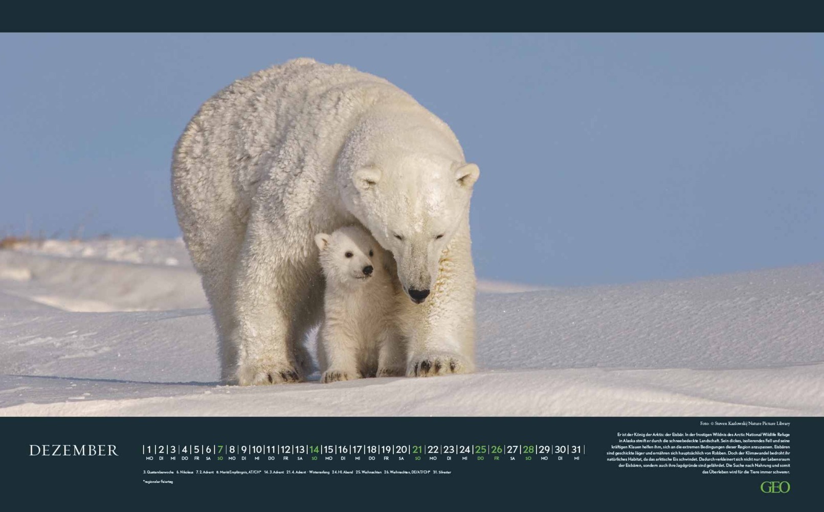 Bild: 4002725988645 | GEO Bedrohte Tierwelt 2025 - Wand-Kalender - Tier-Kalender -...