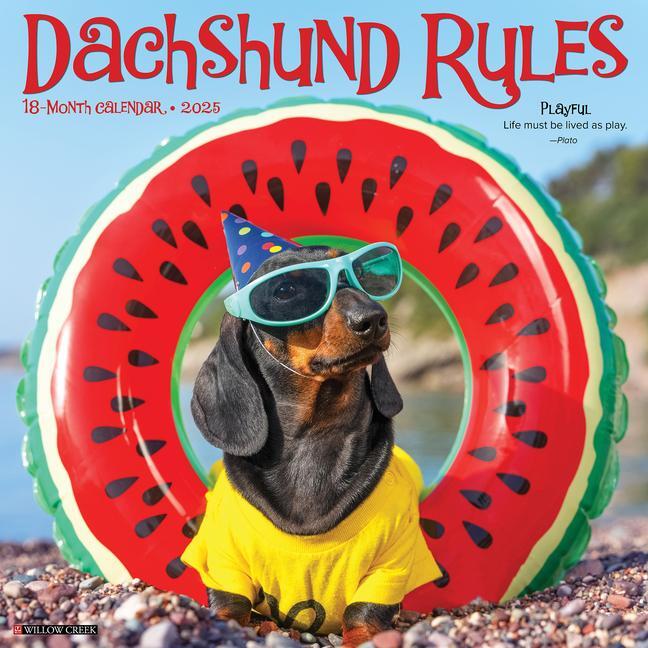 Cover: 9781549242656 | Dachshund Rules 2025 12 X 12 Wall Calendar | Willow Creek Press | 2025