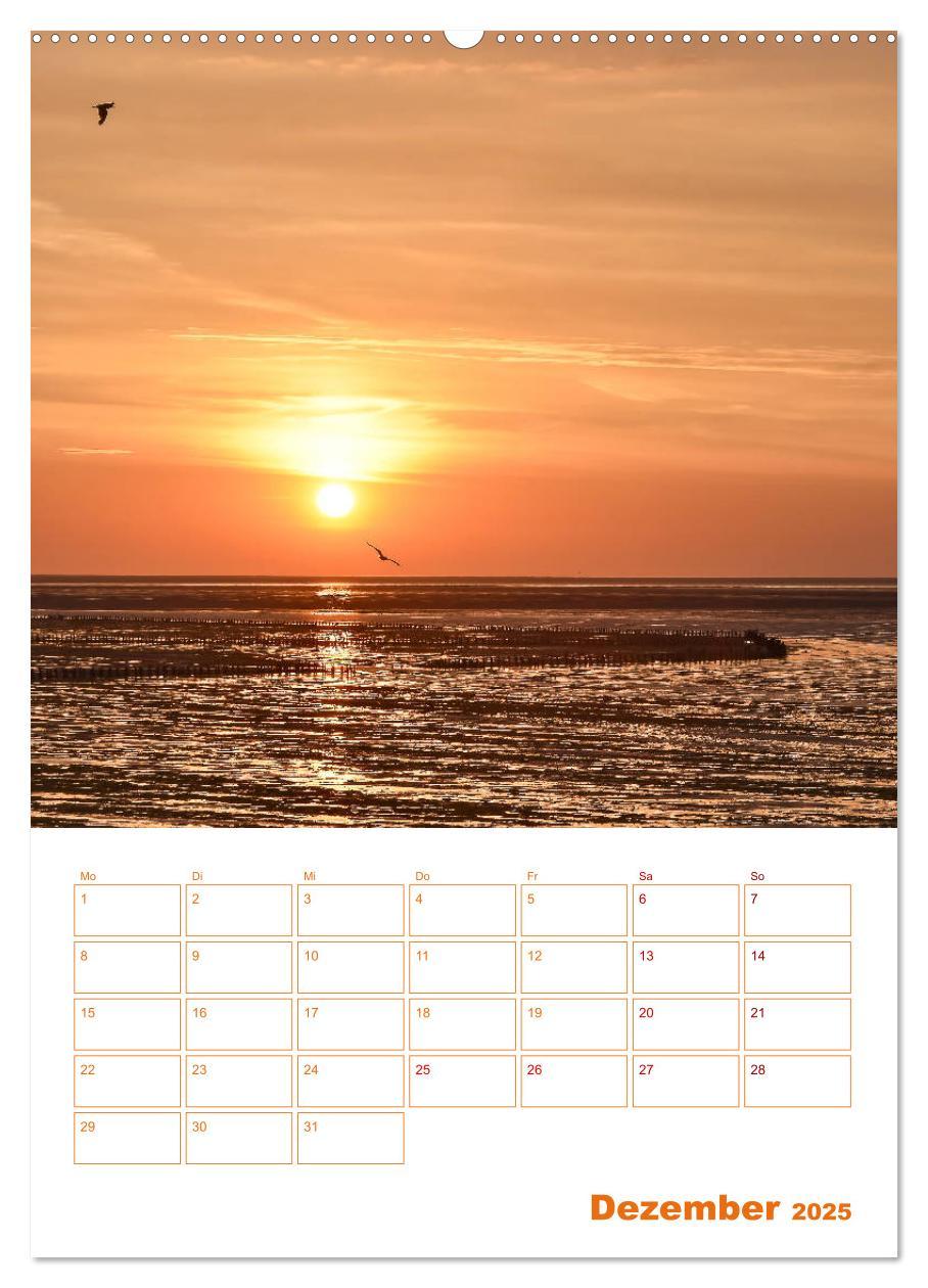 Bild: 9783435984206 | Texel - Momente die verzaubern (Wandkalender 2025 DIN A2 hoch),...