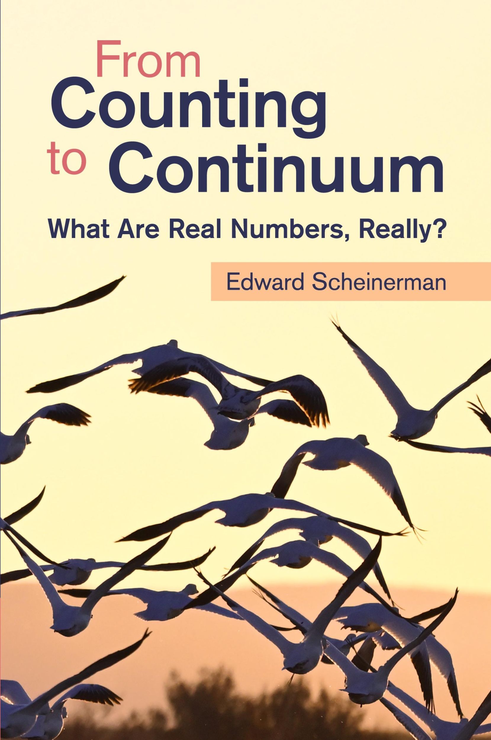 Cover: 9781009538671 | From Counting to Continuum | Edward Scheinerman | Taschenbuch | 2024