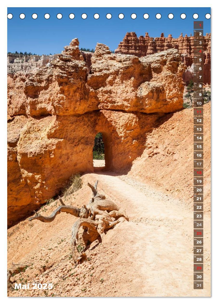 Bild: 9783435972319 | BRYCE CANYON Natur Pur (Tischkalender 2025 DIN A5 hoch), CALVENDO...