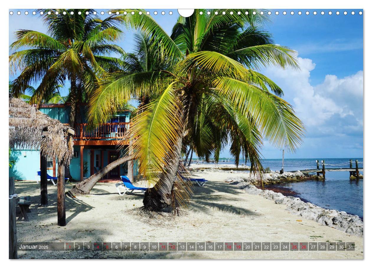 Bild: 9783435270385 | Florida - Sunshine State (Wandkalender 2025 DIN A3 quer), CALVENDO...