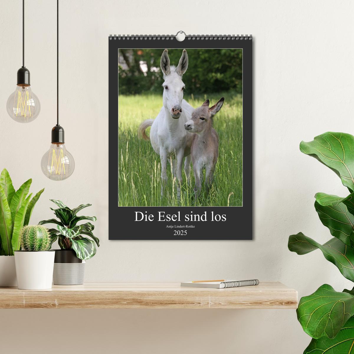 Bild: 9783435984596 | Die Esel sind los (Wandkalender 2025 DIN A3 hoch), CALVENDO...