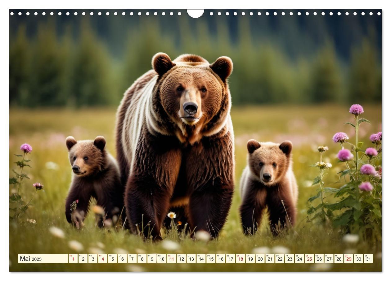 Bild: 9783457166765 | Große und kleine Bären (Wandkalender 2025 DIN A3 quer), CALVENDO...