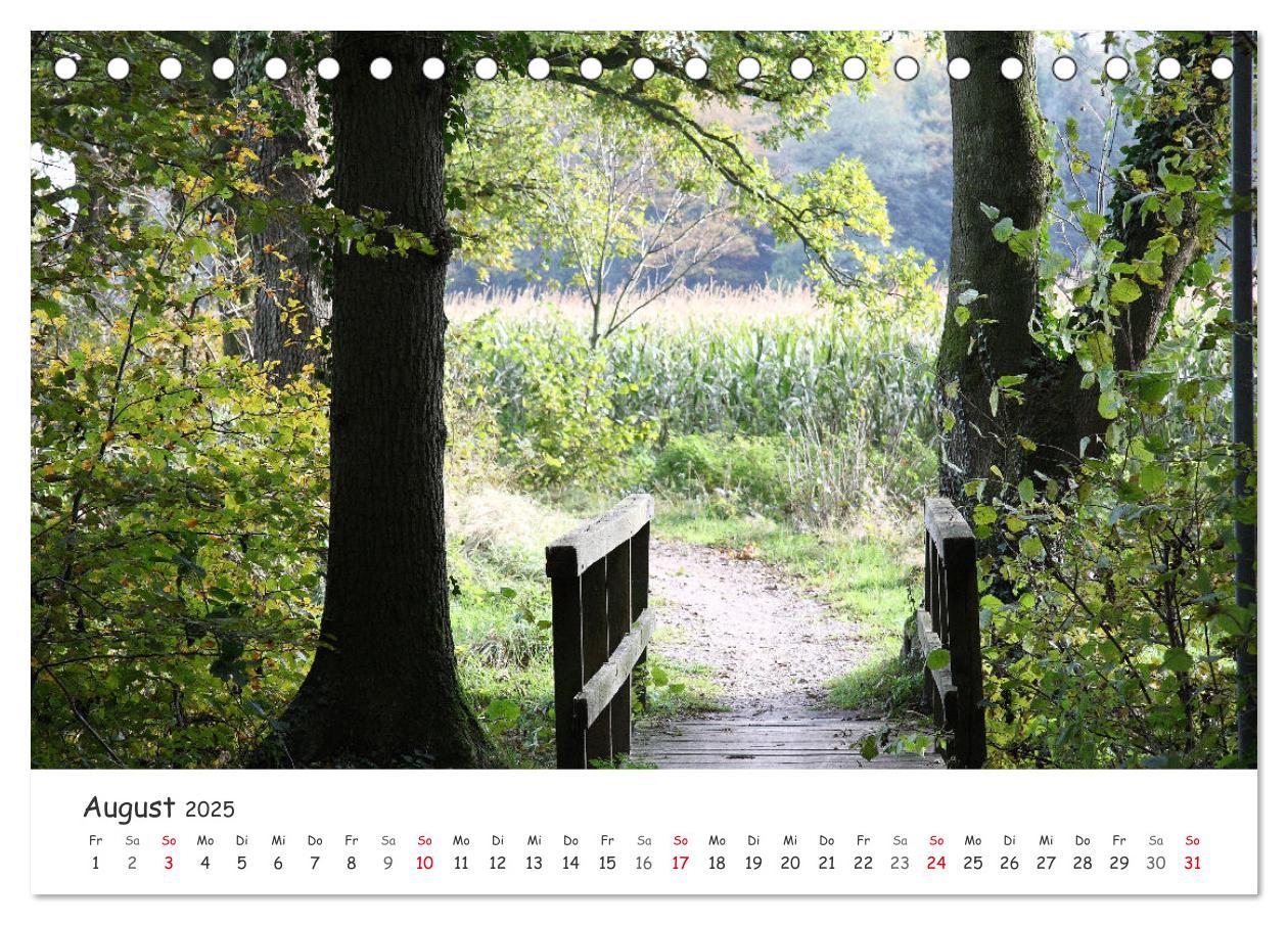 Bild: 9783435077489 | Zauberhaftes Ammerland (Tischkalender 2025 DIN A5 quer), CALVENDO...