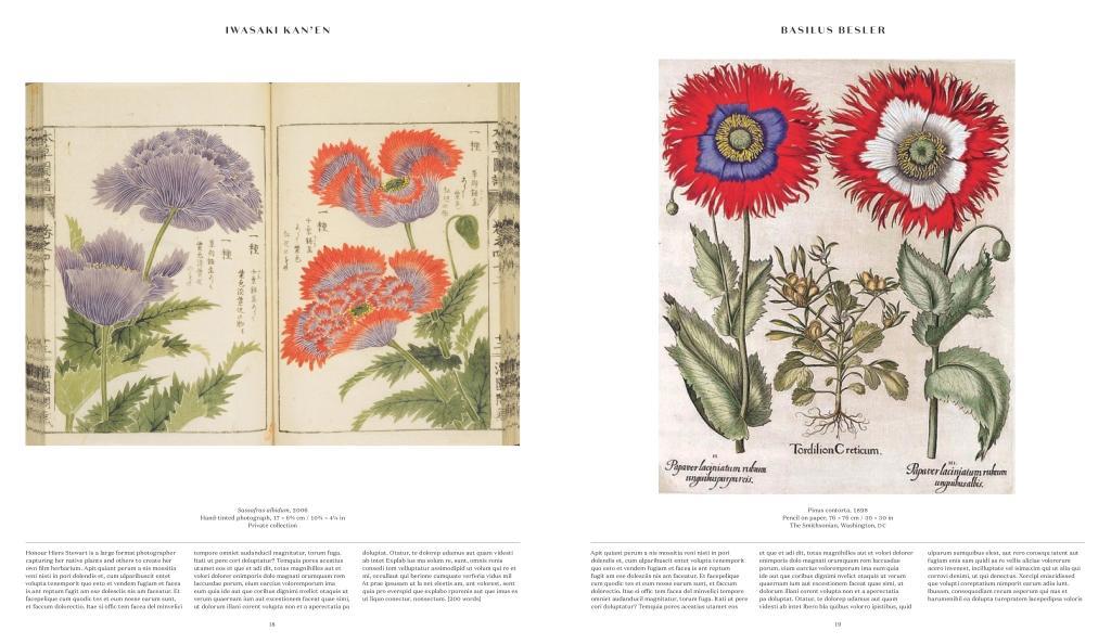 Bild: 9780714871486 | Plant: Exploring the Botanical World | Phaidon Editors | Buch | 352 S.