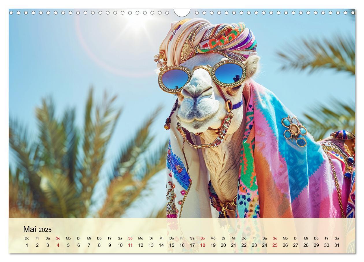 Bild: 9783435246403 | Modische Kamele in der Wüste. Extravagante Highlights (Wandkalender...