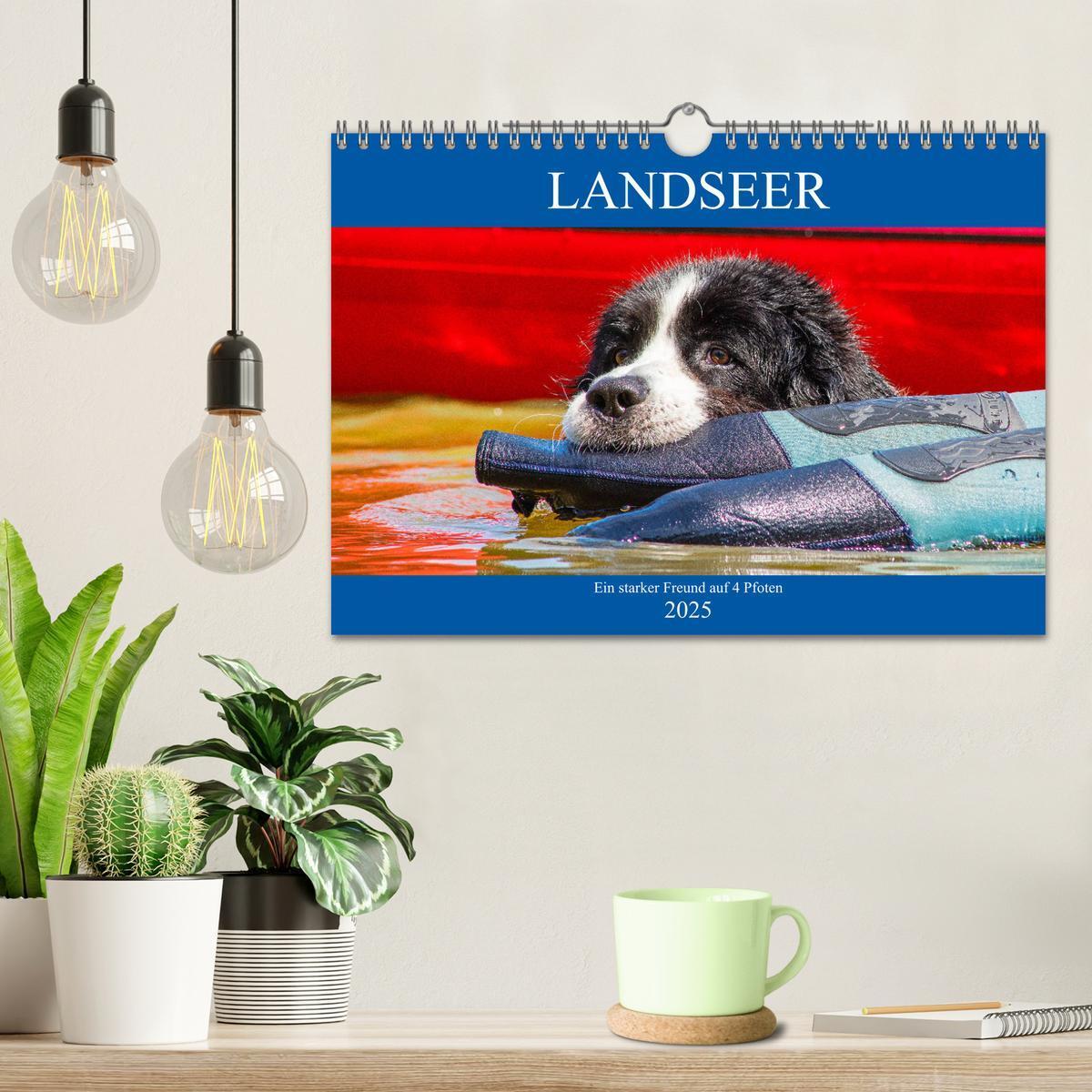 Bild: 9783435306251 | Landseer - Ein starker Freund auf 4 Pfoten (Wandkalender 2025 DIN...