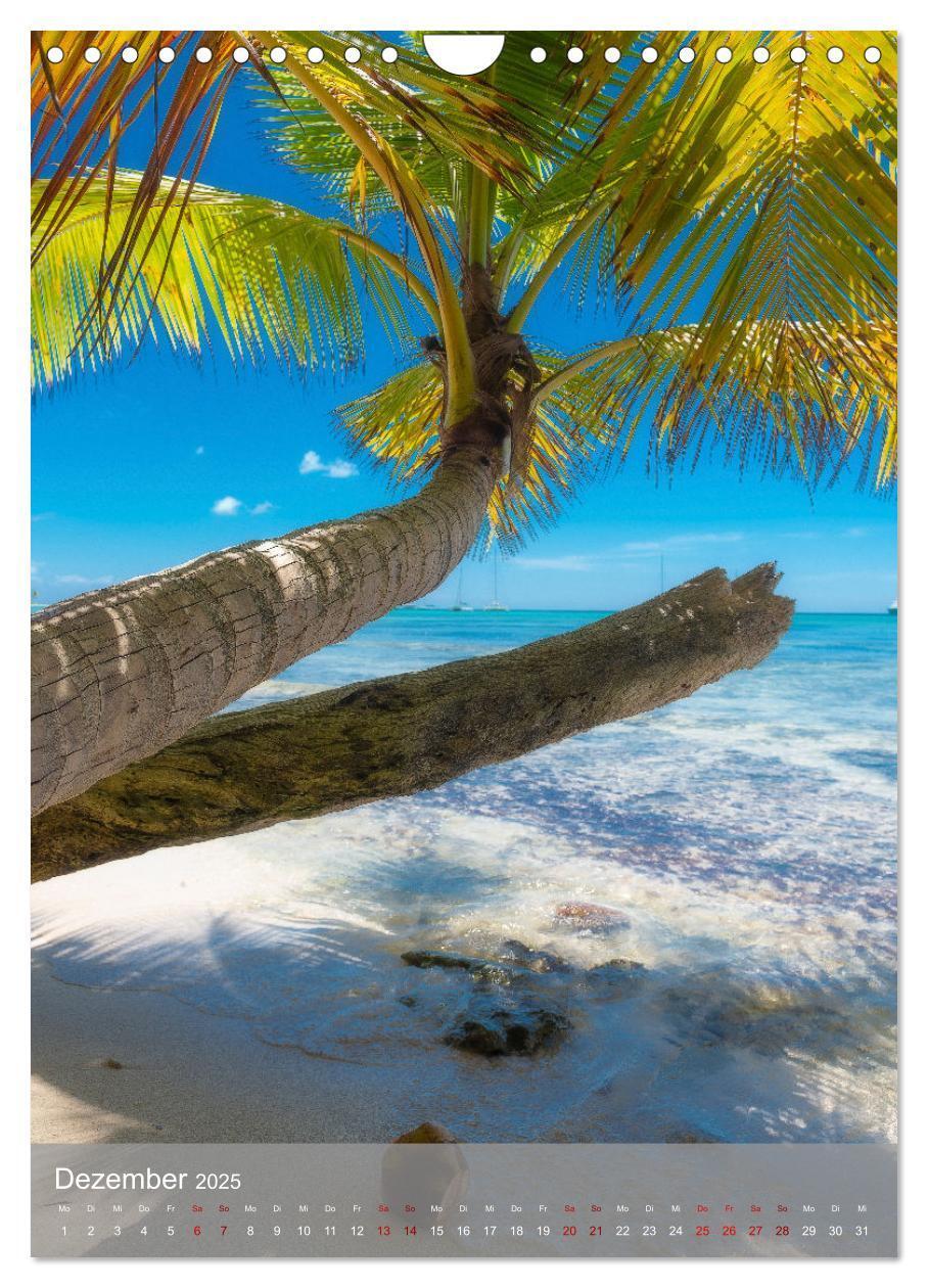 Bild: 9783435916689 | Karibischer Traum Isla Saona (Wandkalender 2025 DIN A4 hoch),...