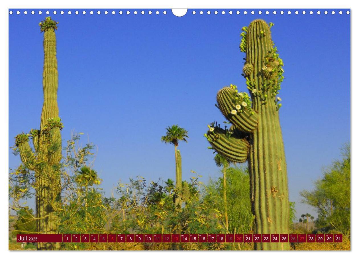 Bild: 9783435740932 | Arizona ¿ Impressionen (Wandkalender 2025 DIN A3 quer), CALVENDO...