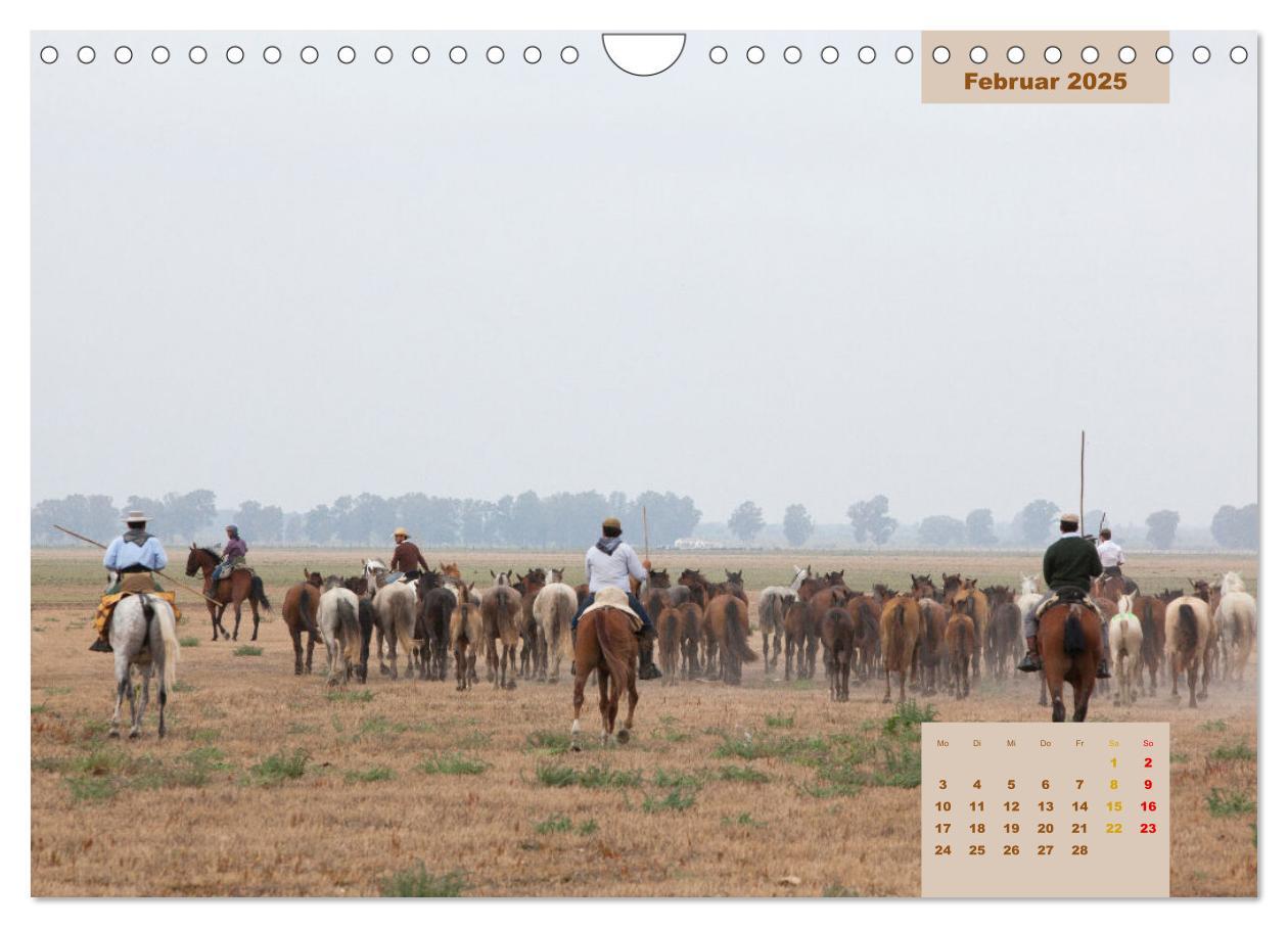 Bild: 9783435105823 | Pferde - Andalusiens wilder Westen (Wandkalender 2025 DIN A4 quer),...