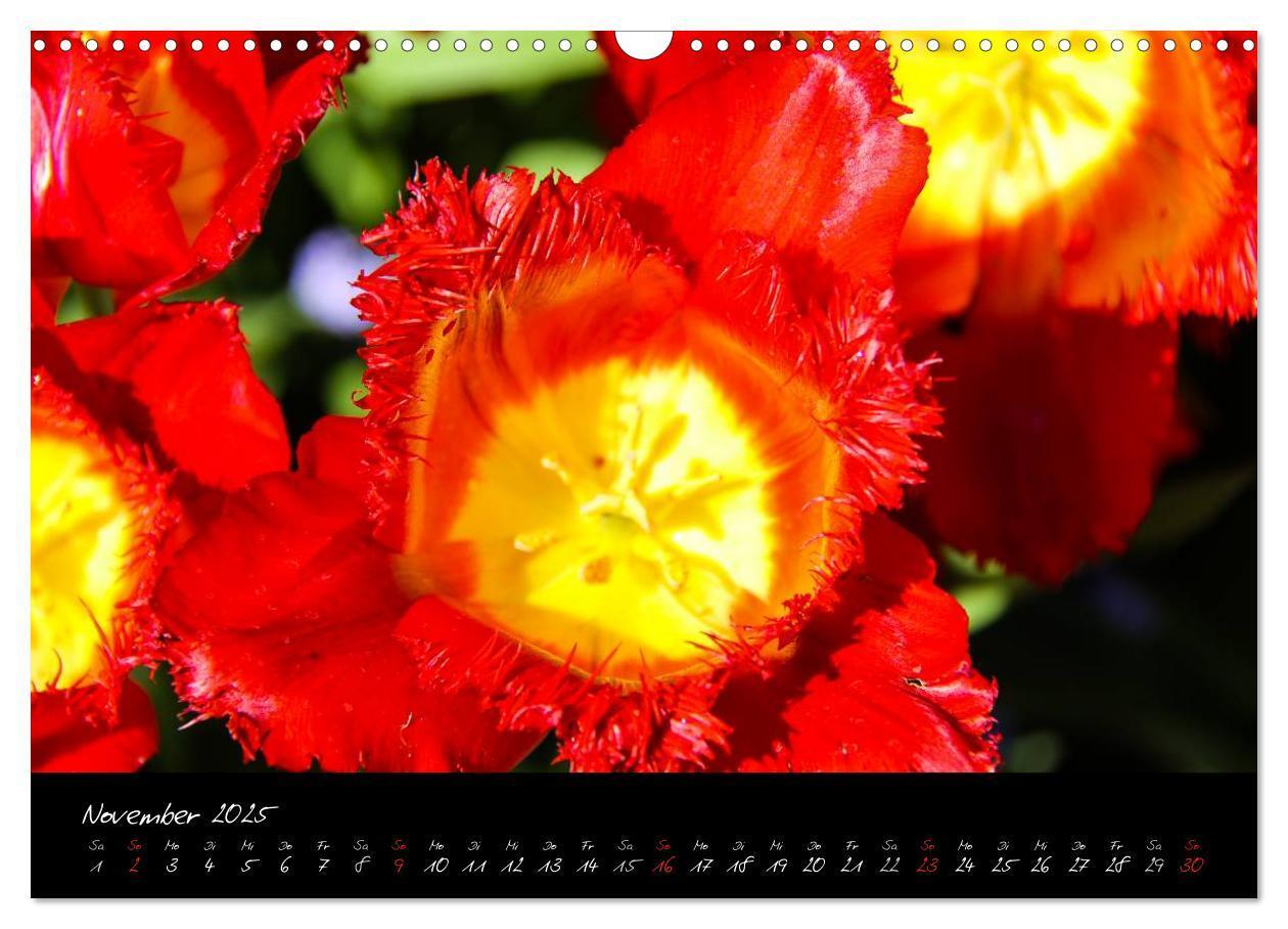 Bild: 9783435775767 | Butchart Gardens 2025 (Wandkalender 2025 DIN A3 quer), CALVENDO...