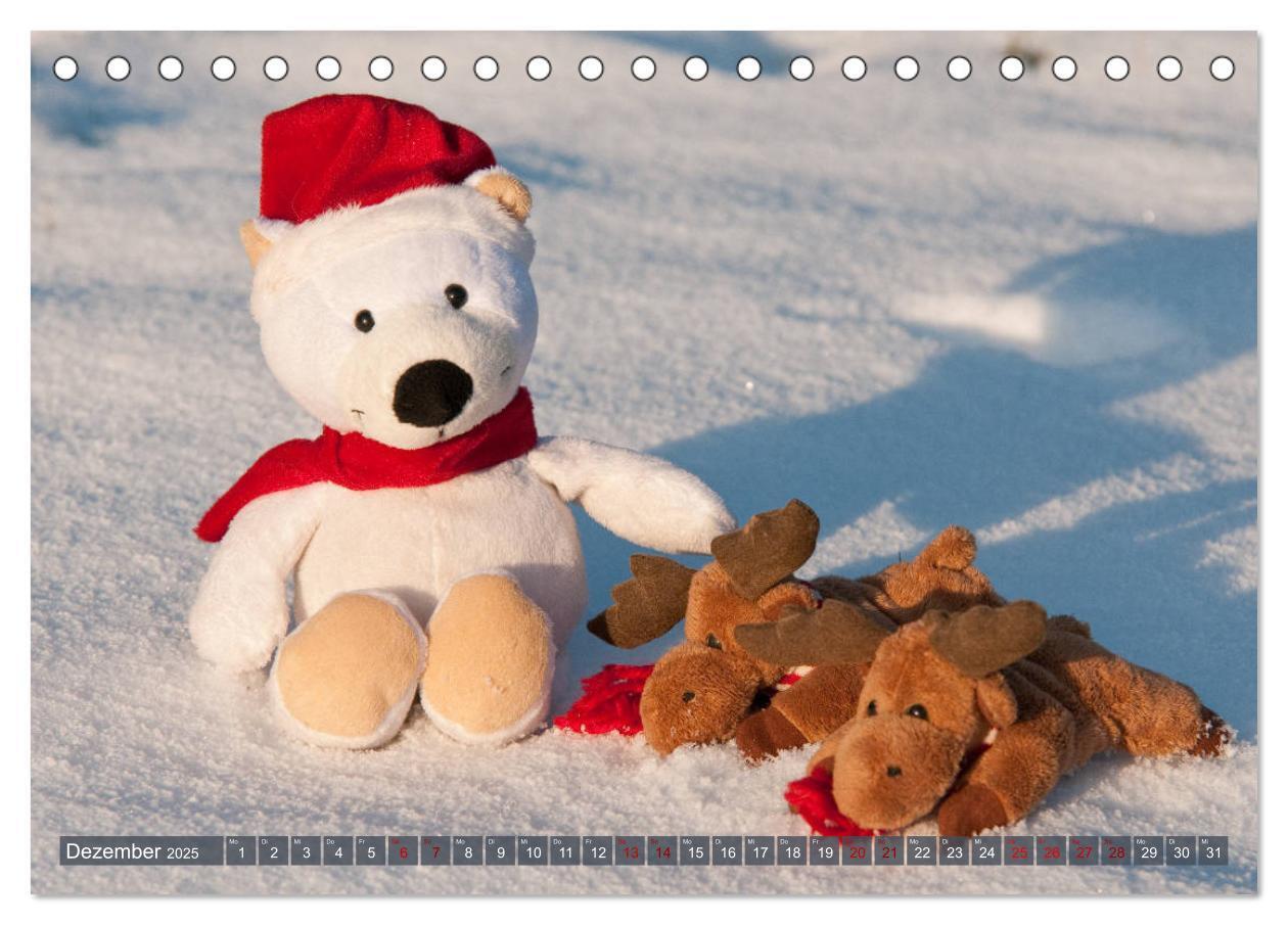 Bild: 9783435410842 | Kunterbunte Bärenwelt - Teddys (Tischkalender 2025 DIN A5 quer),...